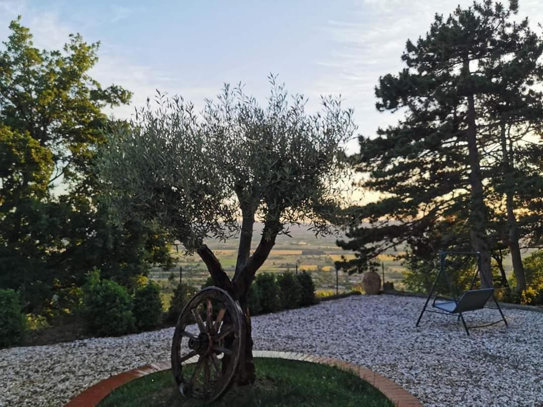 Casina Dei Sogni Vila Arezzo Exterior foto